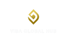 Viba Global Hub Products