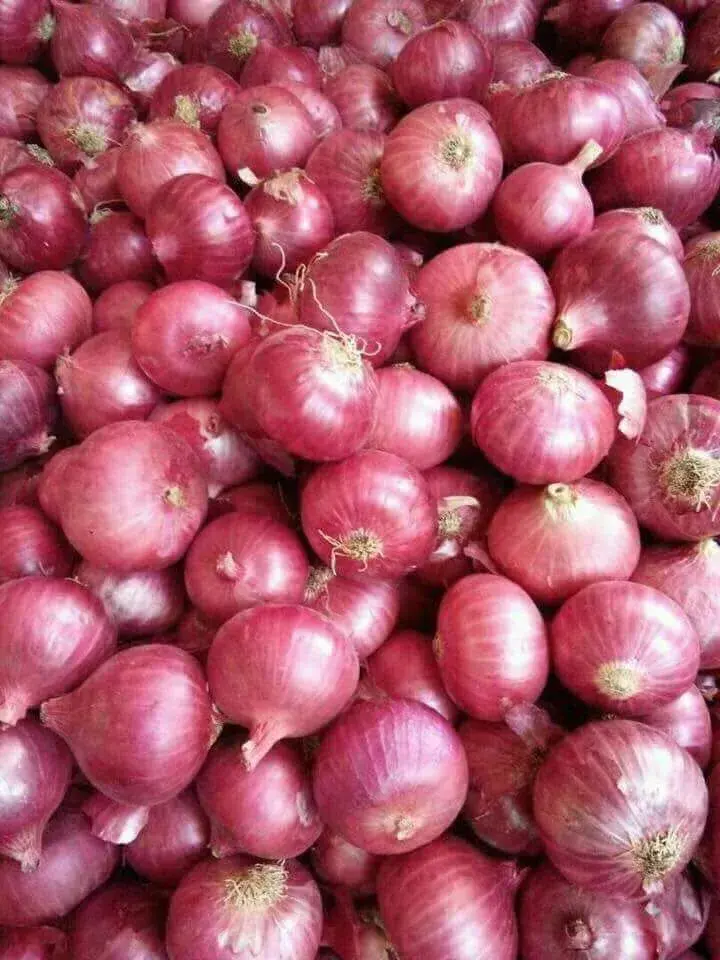 Onions